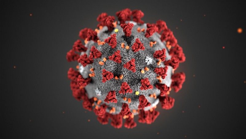 Cinq questions sur la crise du coronavirus