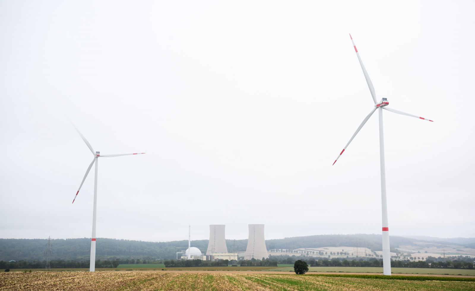 Lichtet sich bald der Nebel um das Greenwashing?