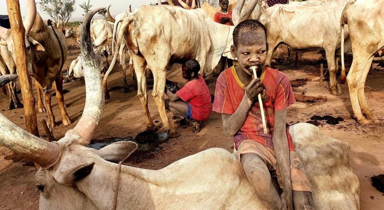 Soudan du Sud contre une compagnie libanaise