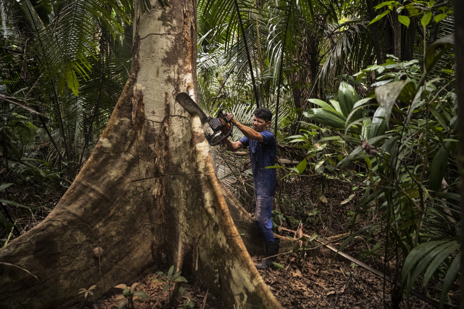 Commerce et climat : vrais efforts ?