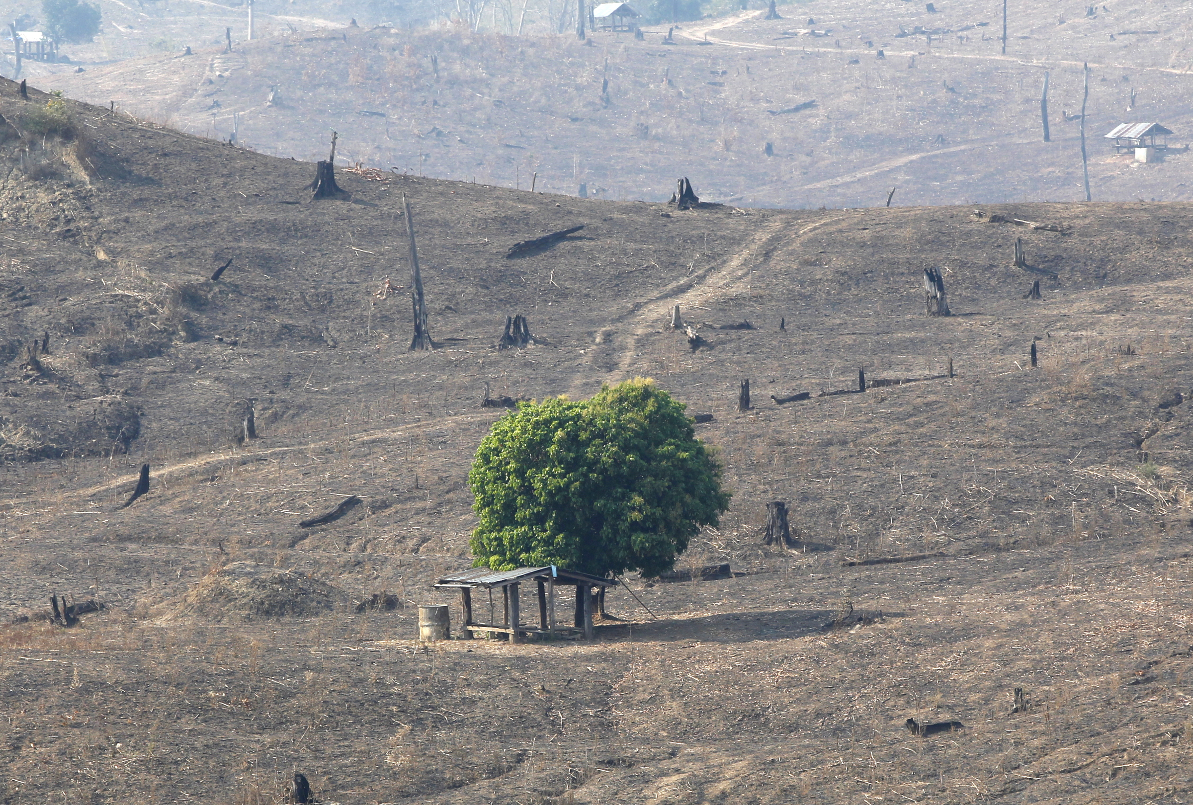 Green colonialism or development opportunity?