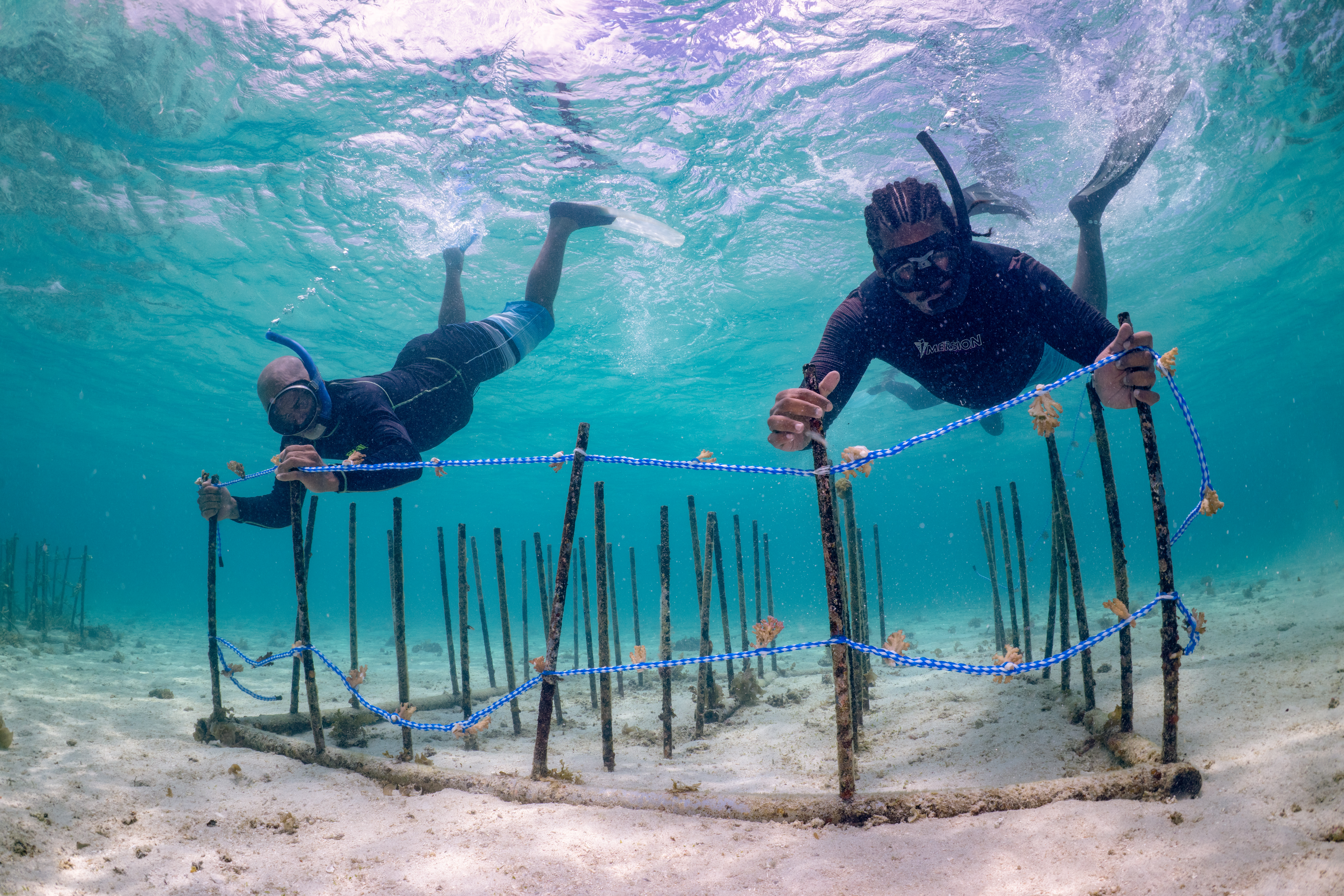 UNDP_MRU_CRRP_SOUTH_EAST_UNDERWATER_INTERVENTIONS_8_DEC_2023_SDG_13_14-17-24.jpg