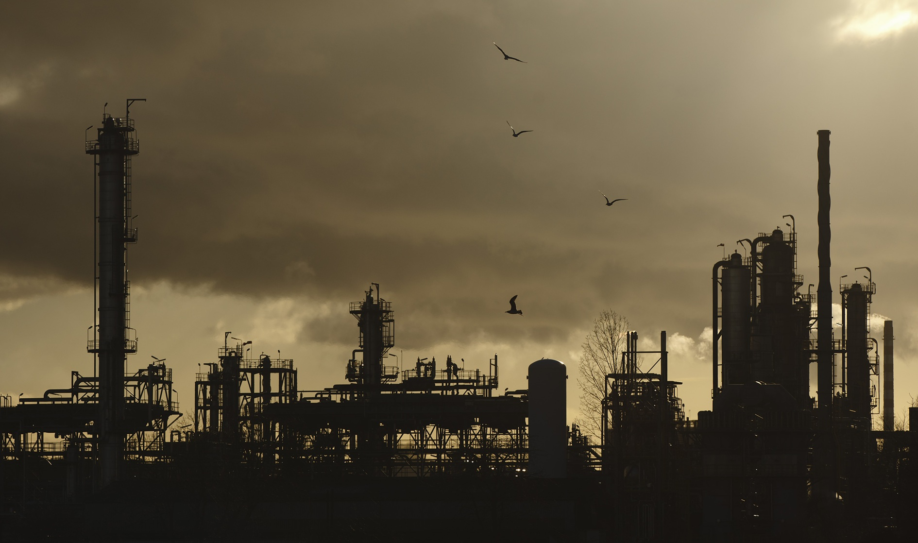 Comment le lobby pétrolier sabote la transition énergétique Comment le lobby pétrolier sabote la transition énergétique